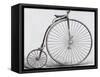 Penny-Farthing Bicycle. Engraving. 19th Century-null-Framed Stretched Canvas