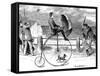 Penny Farthing Bicycle 'Under Full Sail', 1890-null-Framed Stretched Canvas
