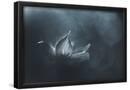 Essential Black