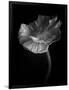 Gramercy Black