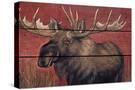 Stretched Canvas