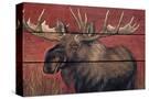 Stretched Canvas