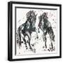 Black Frame