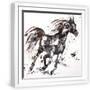 White Frame