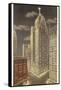 Penobscot Building, Detroit, Michigan-null-Framed Stretched Canvas