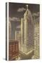 Penobscot Building, Detroit, Michigan-null-Stretched Canvas