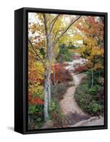 Penobscot Mountain Hiking Trails in Fall, Maine, USA-Jerry & Marcy Monkman-Framed Stretched Canvas