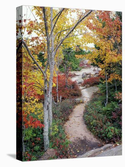 Penobscot Mountain Hiking Trails in Fall, Maine, USA-Jerry & Marcy Monkman-Stretched Canvas