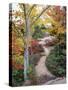 Penobscot Mountain Hiking Trails in Fall, Maine, USA-Jerry & Marcy Monkman-Stretched Canvas