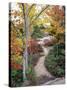 Penobscot Mountain Hiking Trails in Fall, Maine, USA-Jerry & Marcy Monkman-Stretched Canvas