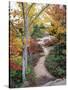 Penobscot Mountain Hiking Trails in Fall, Maine, USA-Jerry & Marcy Monkman-Stretched Canvas