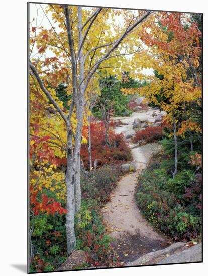 Penobscot Mountain Hiking Trails in Fall, Maine, USA-Jerry & Marcy Monkman-Mounted Premium Photographic Print