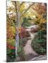 Penobscot Mountain Hiking Trails in Fall, Maine, USA-Jerry & Marcy Monkman-Mounted Premium Photographic Print