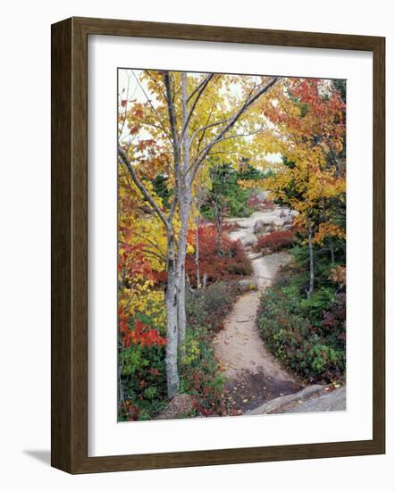 Penobscot Mountain Hiking Trails in Fall, Maine, USA-Jerry & Marcy Monkman-Framed Photographic Print
