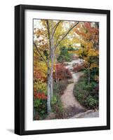 Penobscot Mountain Hiking Trails in Fall, Maine, USA-Jerry & Marcy Monkman-Framed Photographic Print
