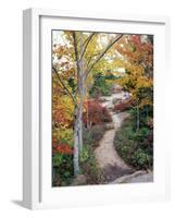 Penobscot Mountain Hiking Trails in Fall, Maine, USA-Jerry & Marcy Monkman-Framed Photographic Print