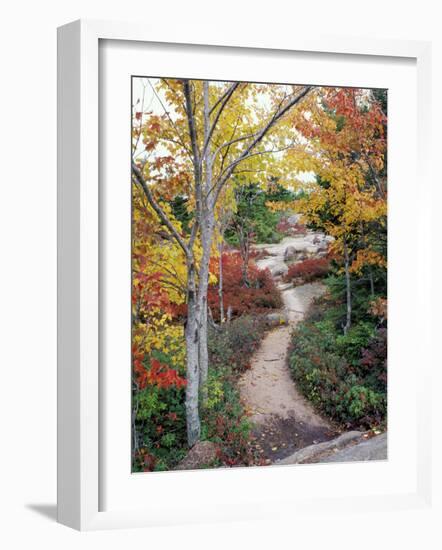 Penobscot Mountain Hiking Trails in Fall, Maine, USA-Jerry & Marcy Monkman-Framed Photographic Print