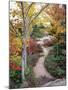 Penobscot Mountain Hiking Trails in Fall, Maine, USA-Jerry & Marcy Monkman-Mounted Photographic Print