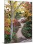 Penobscot Mountain Hiking Trails in Fall, Maine, USA-Jerry & Marcy Monkman-Mounted Photographic Print