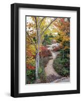 Penobscot Mountain Hiking Trails in Fall, Maine, USA-Jerry & Marcy Monkman-Framed Premium Photographic Print