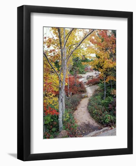 Penobscot Mountain Hiking Trails in Fall, Maine, USA-Jerry & Marcy Monkman-Framed Premium Photographic Print