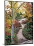 Penobscot Mountain Hiking Trails in Fall, Maine, USA-Jerry & Marcy Monkman-Mounted Premium Photographic Print