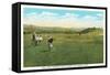 Penobscott Valley Country Club, Bangor, Maine-null-Framed Stretched Canvas