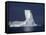 Penola Strait, Pleneau Island, Columnar Iceberg in Evening Light, Antarctica-Allan White-Framed Stretched Canvas