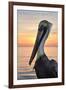 Pensacola Beach, Florida - Pelican-Lantern Press-Framed Art Print