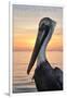 Pensacola Beach, Florida - Pelican-Lantern Press-Framed Art Print