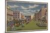 Pensacola, FL - South View of Palafox St. & Flowers-Lantern Press-Mounted Art Print