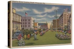 Pensacola, FL - South View of Palafox St. & Flowers-Lantern Press-Stretched Canvas