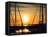 Pensacola Florida Sunset with Sailboat in Background-Steven D Sepulveda-Framed Stretched Canvas