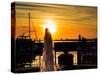 Pensacola Florida Sunset with Water Fountain and Sailboats on Background-Steven D Sepulveda-Stretched Canvas