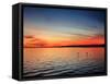 Pensacola Florida Sunset-Steven D Sepulveda-Framed Stretched Canvas