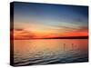 Pensacola Florida Sunset-Steven D Sepulveda-Stretched Canvas