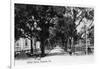 Pensacola, Florida - View Down Central Avenue-Lantern Press-Framed Art Print