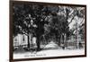 Pensacola, Florida - View Down Central Avenue-Lantern Press-Framed Art Print