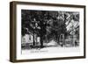 Pensacola, Florida - View Down Central Avenue-Lantern Press-Framed Art Print