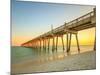 Pensacola, Florida-larry mcmillian-Mounted Photographic Print