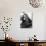 Pensive Orangutan-null-Photographic Print displayed on a wall