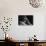 Pensive Portrait of Artist Georgia O'Keeffe-John Loengard-Photographic Print displayed on a wall