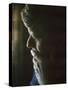 Pensive Portrait of Robert F. Kennedy-Bill Eppridge-Stretched Canvas