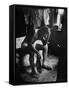 Pensive Portrait of Young African American Alone in His Room from Youth Essay-Gordon Parks-Framed Stretched Canvas