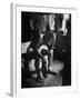 Pensive Portrait of Young African American Alone in His Room from Youth Essay-Gordon Parks-Framed Photographic Print