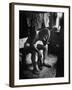 Pensive Portrait of Young African American Alone in His Room from Youth Essay-Gordon Parks-Framed Photographic Print