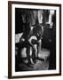 Pensive Portrait of Young African American Alone in His Room from Youth Essay-Gordon Parks-Framed Photographic Print