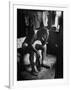 Pensive Portrait of Young African American Alone in His Room from Youth Essay-Gordon Parks-Framed Photographic Print