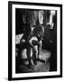 Pensive Portrait of Young African American Alone in His Room from Youth Essay-Gordon Parks-Framed Photographic Print