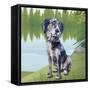 Pensive Puppy-Kim Curinga-Framed Stretched Canvas